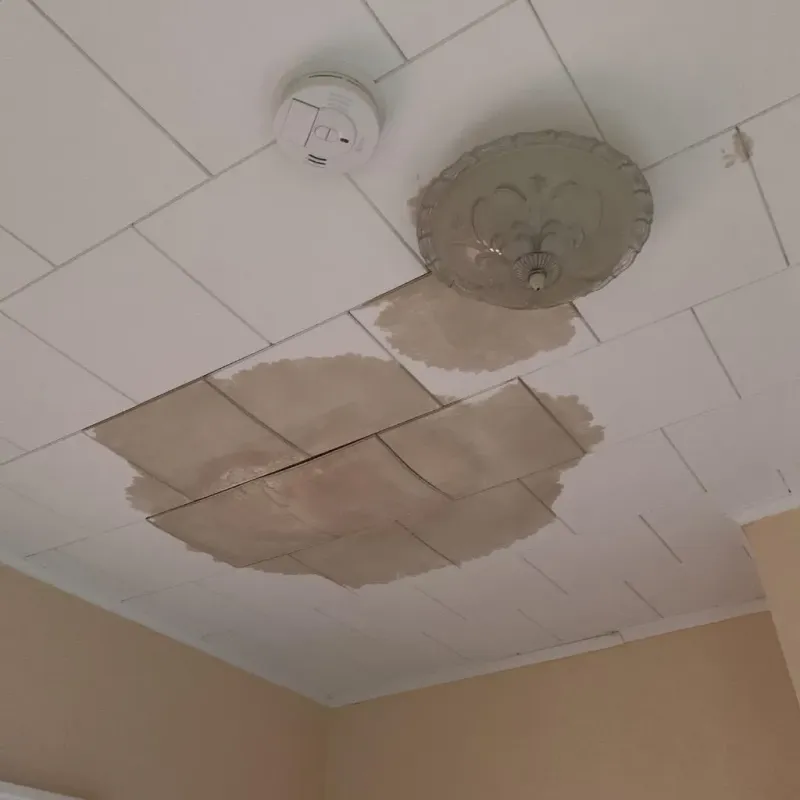 Ceiling Water Damage Repair in Shadyside, OH