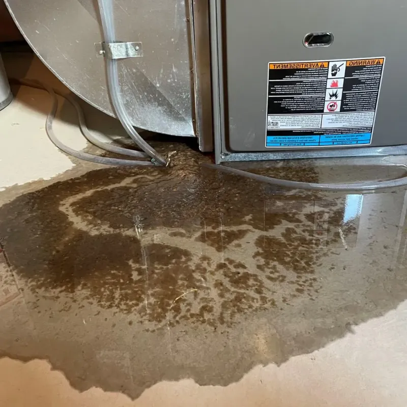 Pipe Burst and Leak Restoration in Shadyside, OH