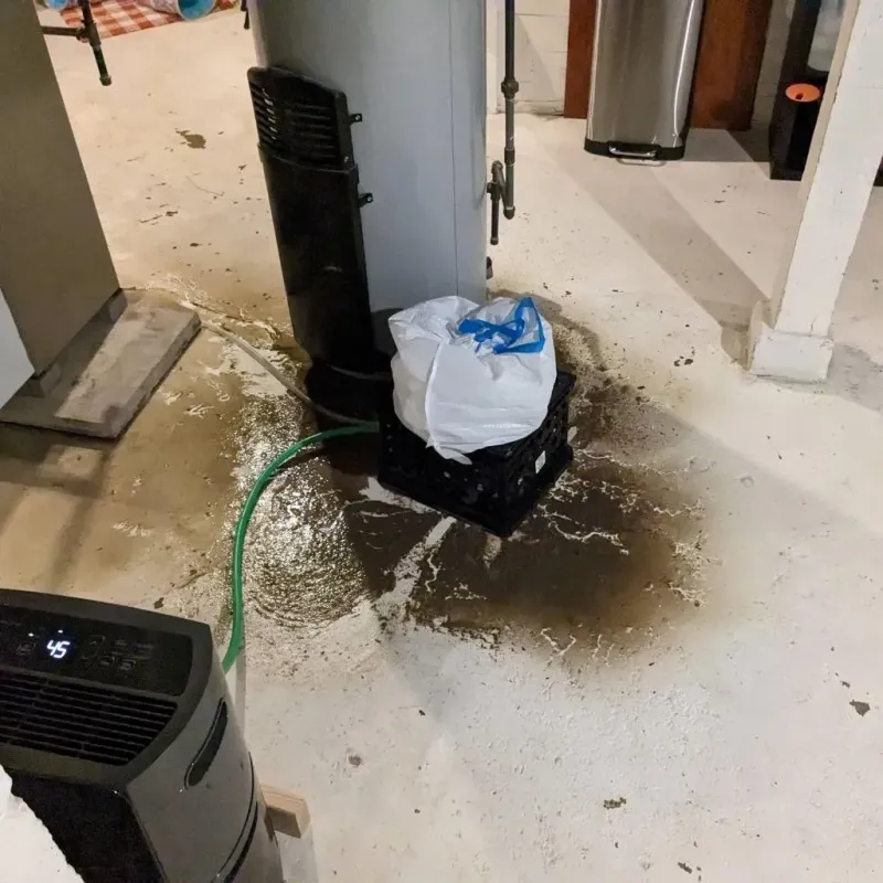Sewage Backup Cleanup Service in Shadyside, OH